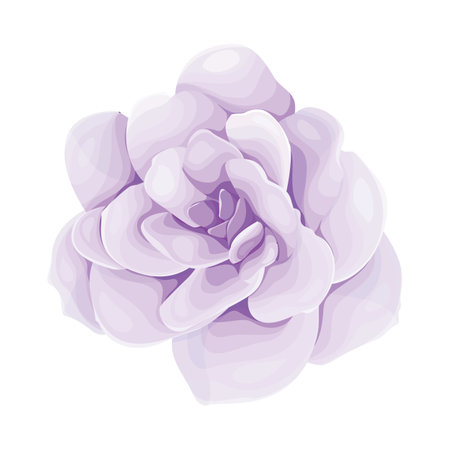Illustration of a purple rose isolated on a white background. Vector illustration.のイラスト素材