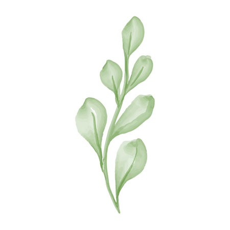 Watercolor green leaf isolated on white background. Hand drawn illustration.のイラスト素材