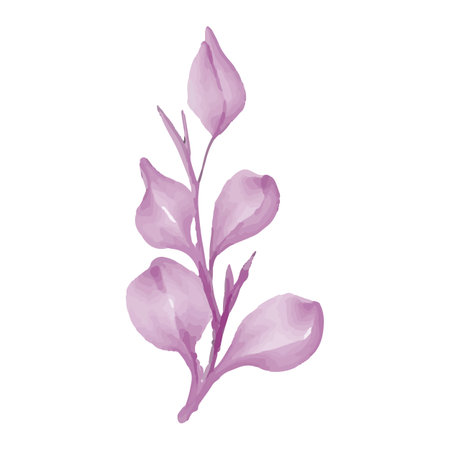 Watercolor branch with purple flowers on white background. Vector illustration.のイラスト素材