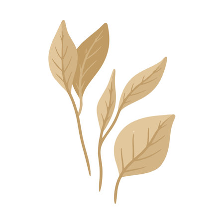 autumn leafs plant botanical icon vector illustration design vector illustration designのイラスト素材