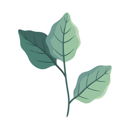 branch with leafs icon over white background. colorful design. vector illustrationのイラスト素材