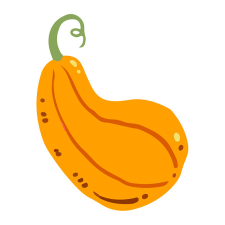 Pumpkin flat icon on white background for web design and mobile appのイラスト素材