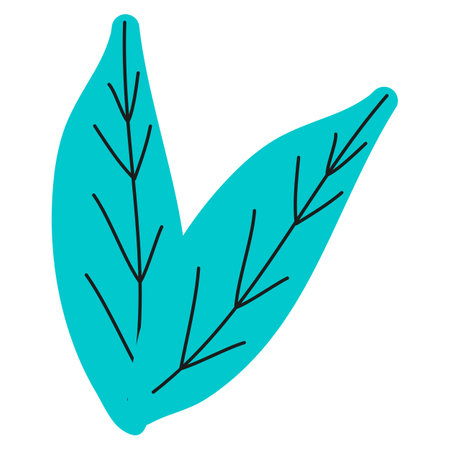 Isolated leaves on a white background, Vector illustration of a leafのイラスト素材