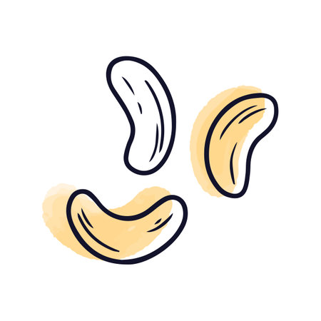 Cashew nuts doodle icon. Hand drawn vector illustration.のイラスト素材