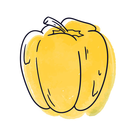 Bell pepper. Hand drawn vector illustration in doodle style.のイラスト素材
