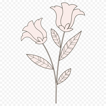 Vector hand drawn illustration of rose flower. Isolated on transparent background.のイラスト素材
