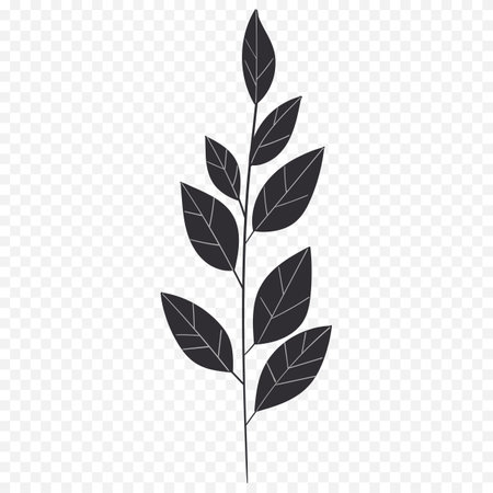 Branch with leaves. Isolated on transparent background. Vector illustration.のイラスト素材