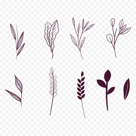 Set of hand drawn doodle floral elements. Vector illustration.のイラスト素材