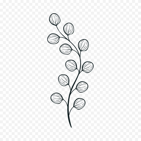 branch with leafs isolated icon vector illustration desing  white backgroundのイラスト素材