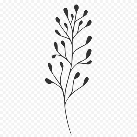 Hand drawn twig with leaves. Vector illustration in sketch style.のイラスト素材
