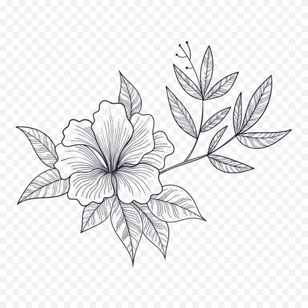 Hand drawn hibiscus flower with leaves. Vector illustration.のイラスト素材