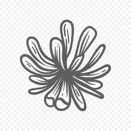 Cute hand drawn chrysanthemum. Vector illustration.のイラスト素材