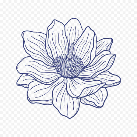 Beautiful hand drawn lotus flower. Vector illustration. Isolated on white background.のイラスト素材