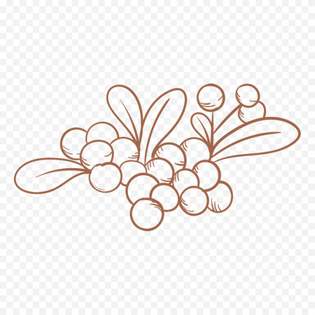 Hand drawn rowan branch. Vector illustration. Isolated on transparent background.のイラスト素材