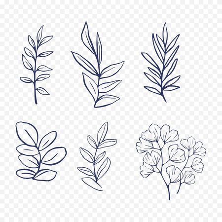 Set of hand drawn branches and leaves. Vector illustration in doodle styleのイラスト素材