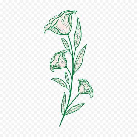 Elegant hand drawn peony flowers, design elements. Floral  pattern for invitations, cards, print, gift wrap, manufacturing, textile, fabric, wallpapersのイラスト素材