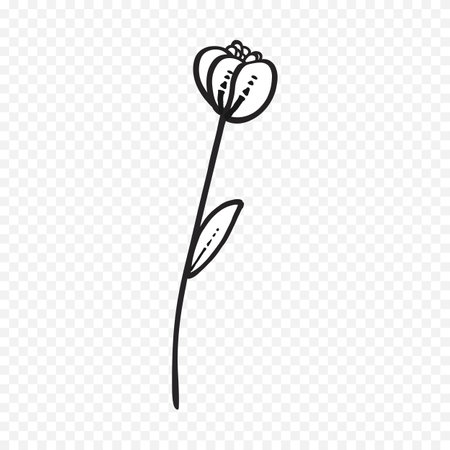 Simple hand drawn doodle of a flower. Vector illustration.のイラスト素材