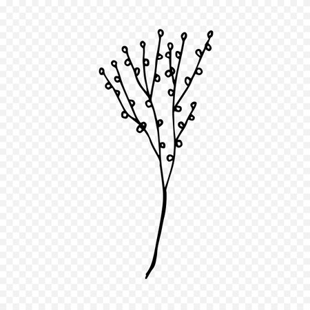 Hand drawn doodle branch with leaves and seeds. Vector illustration.のイラスト素材