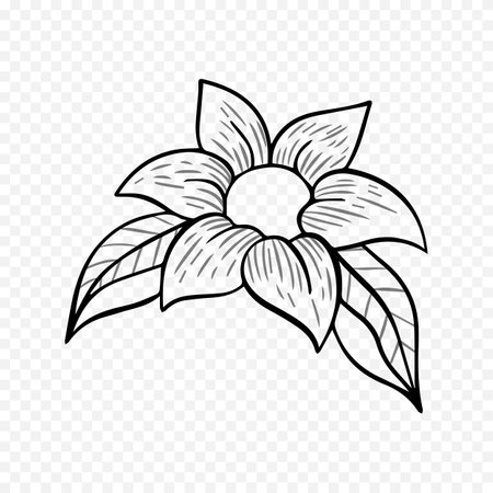 Hand drawn flower. Vector illustration in doodle style. Isolated on white background.のイラスト素材