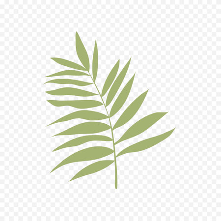 Palm leaf icon. Isolated on transparent background. Vector illustrationのイラスト素材