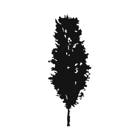 Vector silhouette of a tree. Black silhouette of a tree on a white background.のイラスト素材