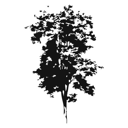 Tree silhouette isolated on white background. Black and white vector illustration.のイラスト素材