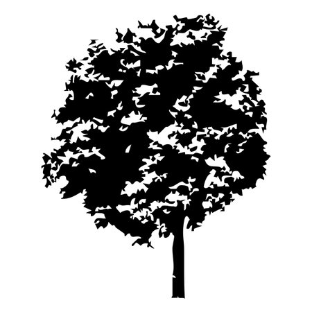 Tree silhouette isolated on white background. Black and white vector illustration.のイラスト素材