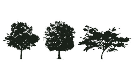 Set of trees silhouettes isolated on white background. Vector illustration.のイラスト素材