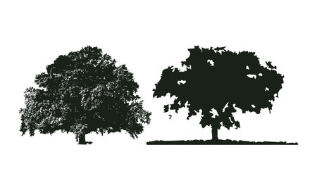 Set of silhouettes of trees on a white background. Vector illustrationのイラスト素材