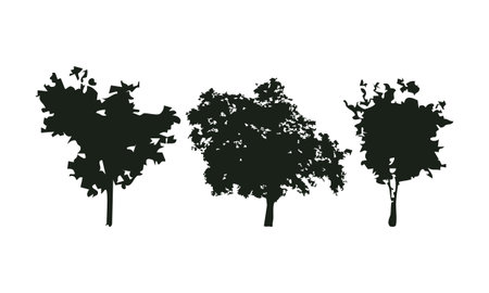 Set of trees silhouettes isolated on white background. Vector illustration.のイラスト素材