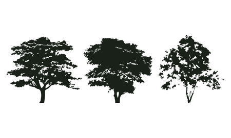 Set of trees silhouettes isolated on white background. Vector illustration.のイラスト素材