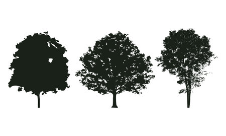 Set of trees silhouettes isolated on white background. Vector illustration.のイラスト素材