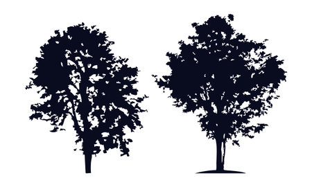 Silhouettes of trees on a white background. Vector illustration.のイラスト素材