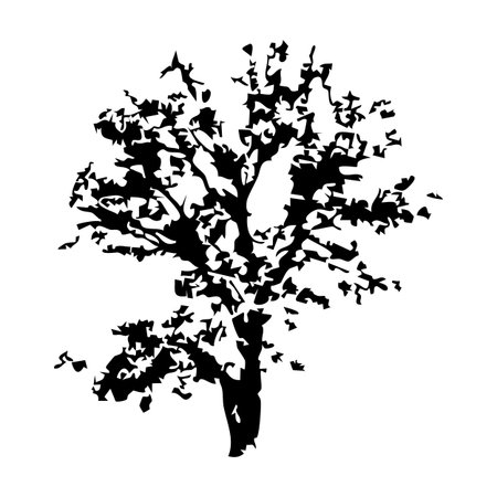Tree silhouette. Black silhouette of tree on white background. Vector illustration.のイラスト素材