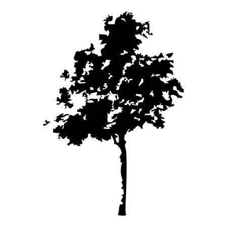 Tree silhouette isolated on white background. Black and white vector illustration.のイラスト素材