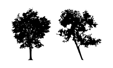 Tree silhouettes isolated on white background. Vector illustration for your designのイラスト素材