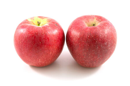 Red ripe applesの写真素材