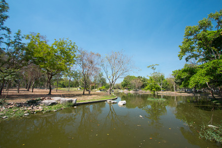 Lake in the summer parkの写真素材