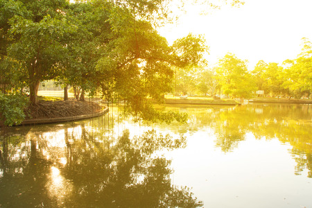 Lake in the summer parkの写真素材