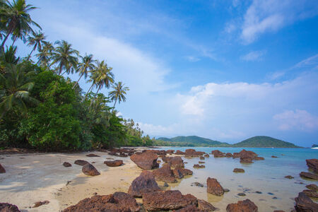 beach on islandの写真素材