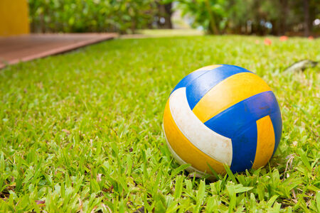 Sport ball over the grassの写真素材