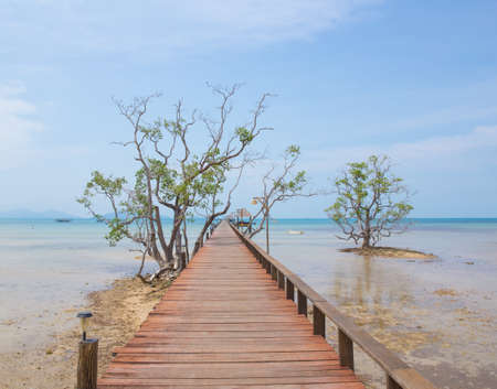 Wooden Pier in Thai Seaの写真素材