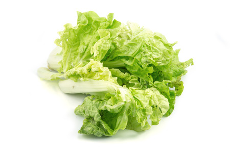 Chinese cabbage vegetable on a white background の写真素材