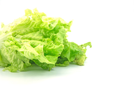 Chinese cabbage vegetable on a white background の写真素材