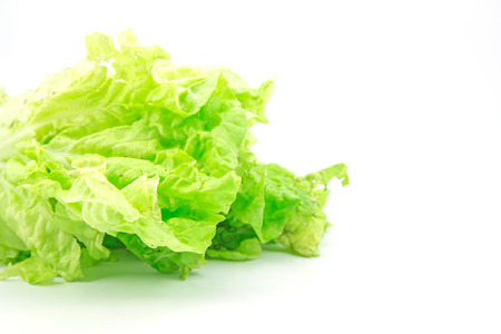 Chinese cabbage vegetable on a white background の写真素材