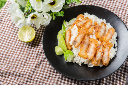 Crispy roasted belly pork chinese style and riceの写真素材