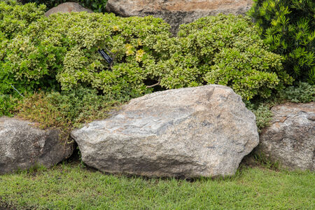 decoration in the park at suanluangrama9, bk, Thailandの写真素材