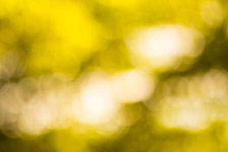 Natural Bokeh,blurred bokeh.の写真素材