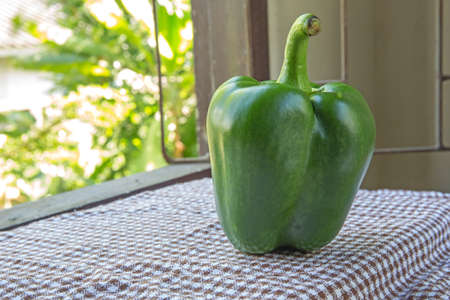 Colored Fresh Sweet Pepper on tableの写真素材
