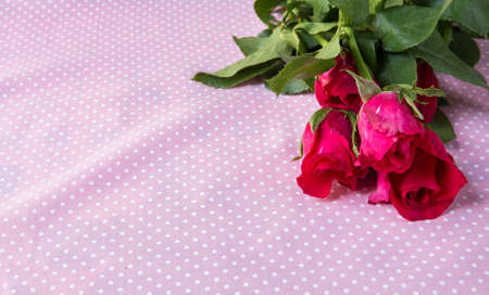 roses on vintage tableの写真素材